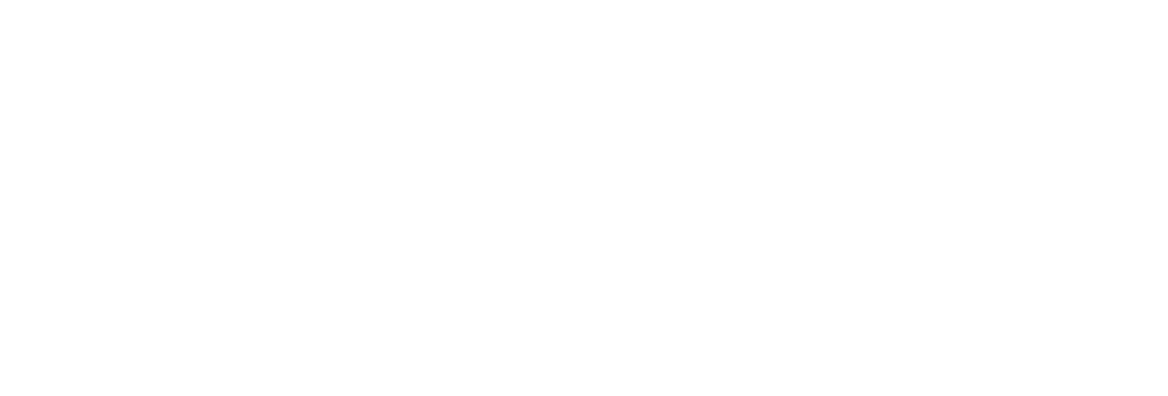 logo - redeweise - weiss